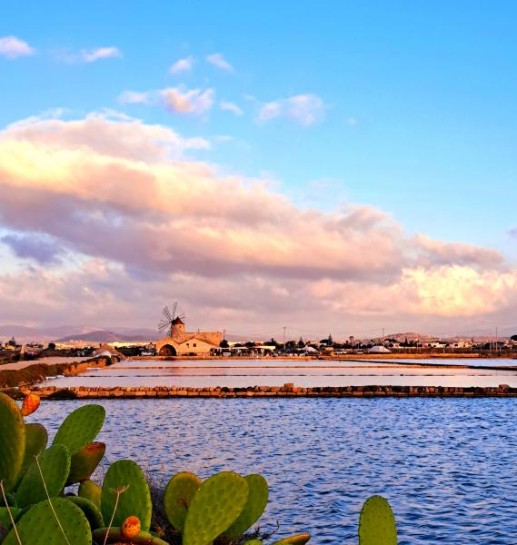 Marco De Bartoli: l'uomo che ridiede anima al Marsala