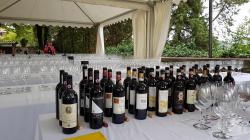 Montefioralle Divino 2017 - Orizzontale Riserva 2011