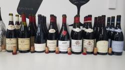  I 9 Grand Cru di Gevrey-Chambertin 